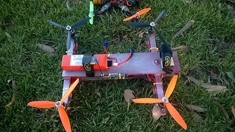 FPV WOOD MK2 Maiden