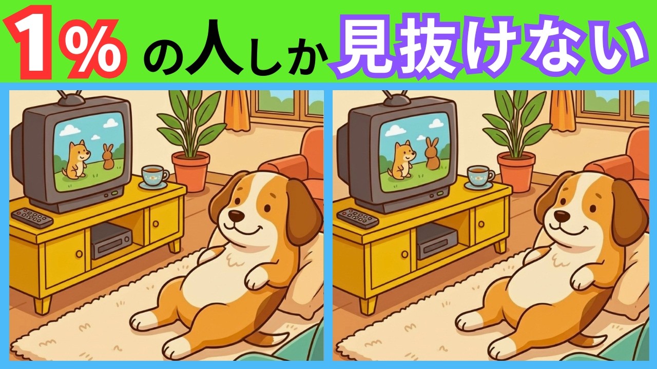 🐶【Spot the Difference】Dog Watching TV🐰Find the 3 Hidden