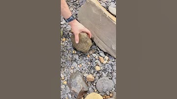 Empty Nodule Cracked by Pebble Beach! 🫣