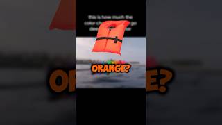 Why Life Jackets Are Always Orange! (📷:kendallroberg)