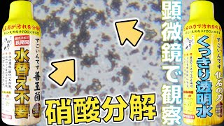 【バクテリア】ついに硝酸塩を分解する液体が新登場！規定量添加で1カ月水換えが不要になります。コトブキ すごいんです善玉菌/化石の力【ふぶきテトラ】