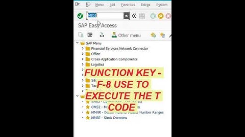 Use of Function Key F8 in SAP