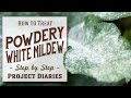★ How to: Treat Powdery White Mildew (A Complete Step by Step Guide)