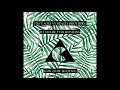 Steve Aoki Tujamo Vs Jungle Brothers I Ll House You Boneless Karl Dope Bootleg mp3