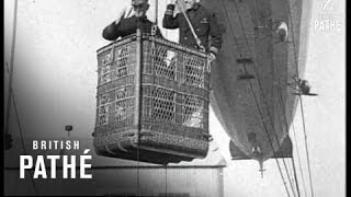 The Shenandoah (1925)