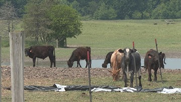 MSU farmers use technology to monitor soil levels