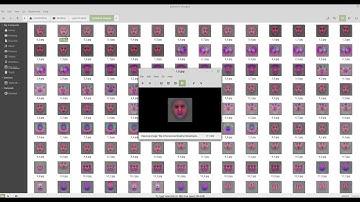 face detection with pytorch