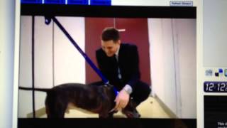 Michael Buble on the Paul O'Grady's FOR THE LOVE OF DOGS