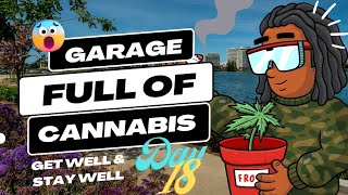 Garage Full of Cannabis Day 18