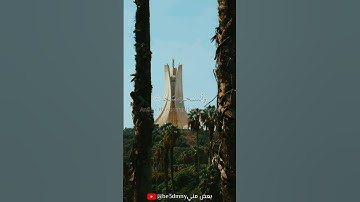 #سورة_النازعات #قرآن #quran #راحة_نفسية