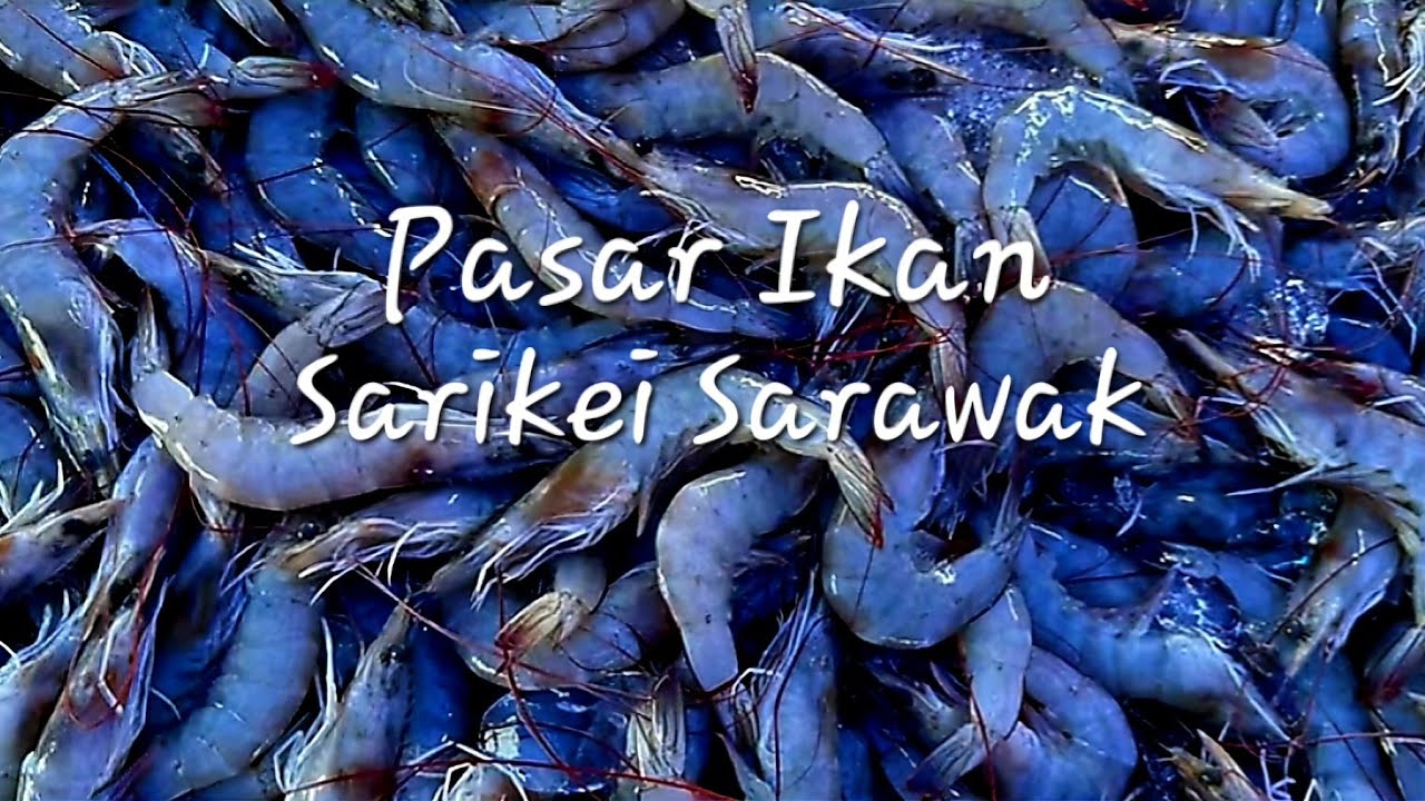 Pasar ikan Sarikei Sarawak🐟Weekend tamu ⭐️must visit if in town😎