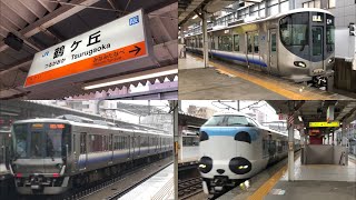 【JR西日本】JR阪和線 鶴ヶ丘駅を発着、通過する車両たち