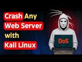 Understanding DoS Attacks and Their Impact on Web Servers Using Kali Linux
