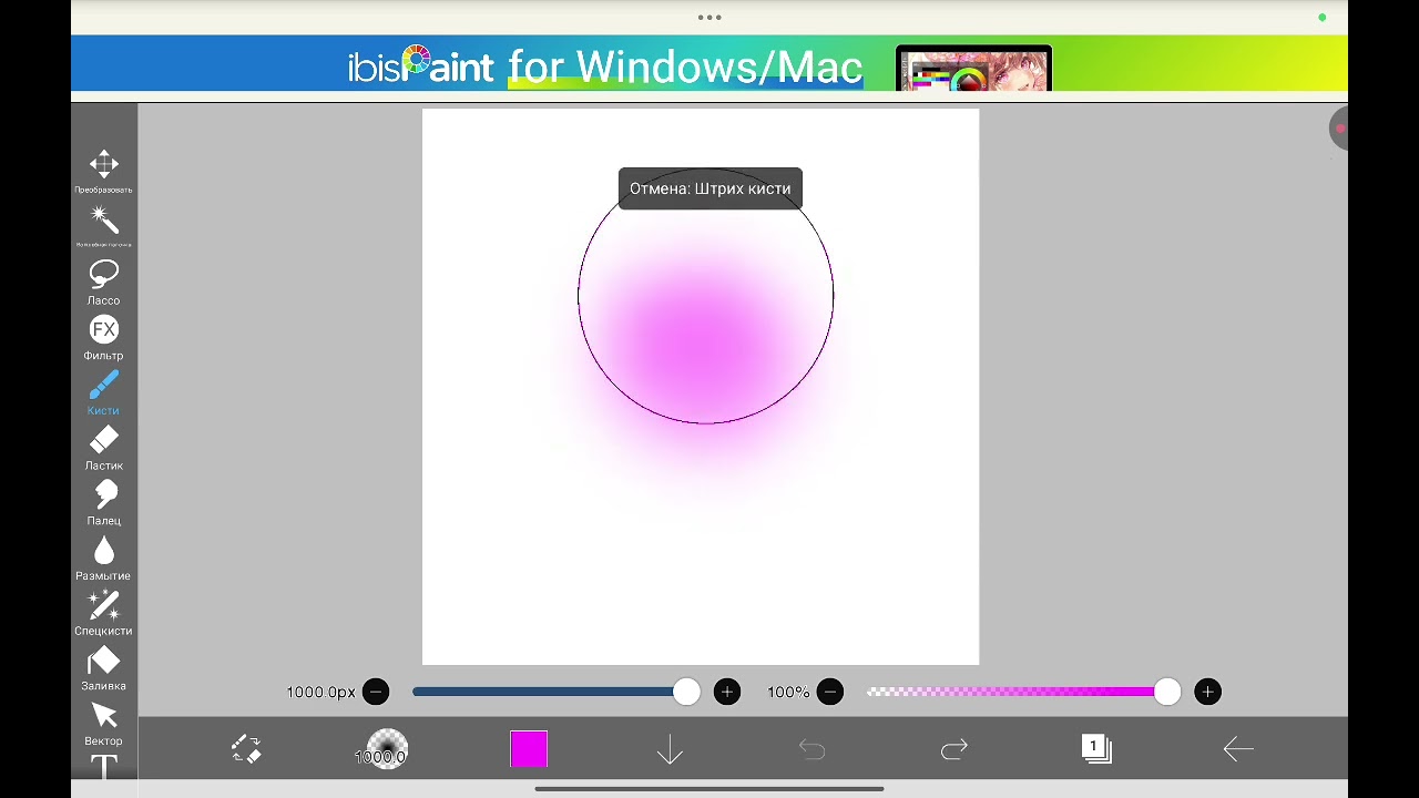 6 марта 2026 г.
