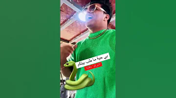 بي حية ماطب بيتكم مع ولودي والفرقه الموسيقية 