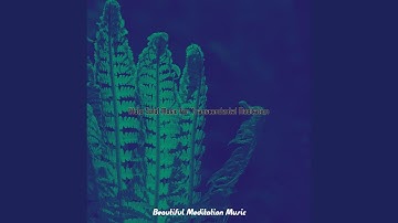 Tranquil Koto and Strings - Vibe for Vipassana Meditation