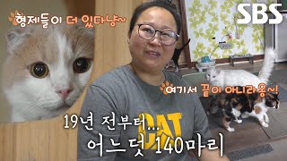 24시간이 모자란 140마리의 ‘고양이’ 엄마★