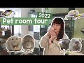 Pet room tour 2022 | Rodents, reptiles & Inverts