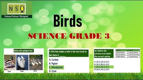 Science Olympiad class 3 - Birds