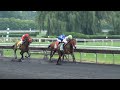 watch live horse racing free - YouTube