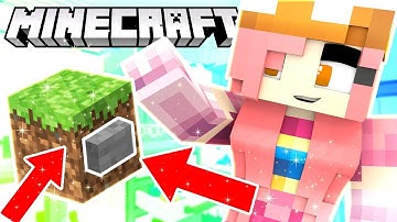 FIND THE BUTTON IN A GIANT MINECRAFT HOUSE!