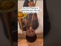 Day 32 of Playing La Campanella every day until my bro finds a girl #trombone #music #shorts