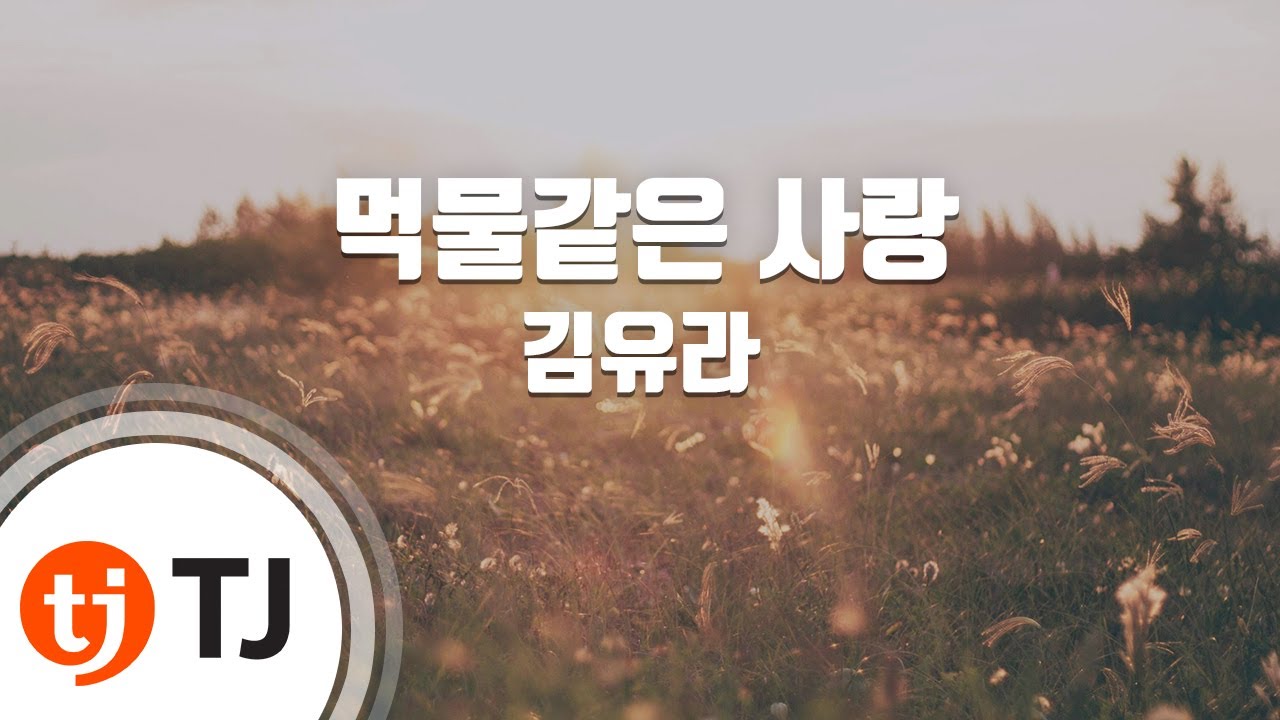 [TJ노래방] 먹물같은사랑 - 김유라(Kim, You - Ra) / TJ Karaoke