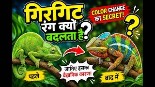 Girgit Rang Kyun Badalta Hai? 🦎 | Science Explained in Hindi