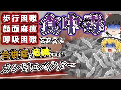 鶏刺しは危険！最悪歩けなくなる食中毒「カンピロバクター」について【ゆっくり解説】