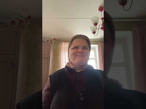 5 моих любимых