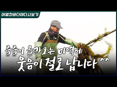 회사 생활접고 바다로 돌아온 초보 귀어인! 힘들고 지치지만 보람도 느끼고, 고향에서 일한다는 생각에 자부심 느끼고 있습니다 ^^ 정년이상 일 할 수 있으니 너무 좋아요!