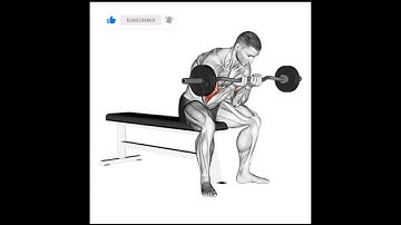 EZ-Bar Seated Close Grip Concentration Curl