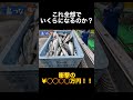 【暴露】200匹以上の高級ブリはいくらになるのか。。。#shorts#漁師