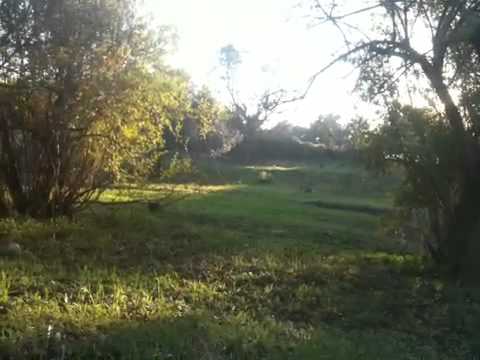 سيدي مروان الجزائر