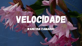 Wanessa Camargo - Velocidade feat. Brasa [Tradução//Letras]