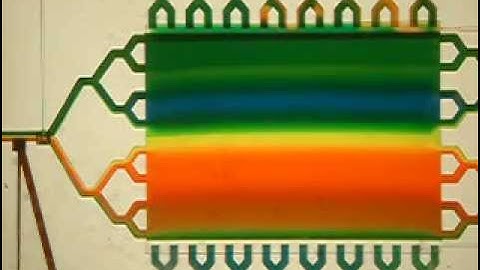 Microfluidic device with microvalves [Folch lab]