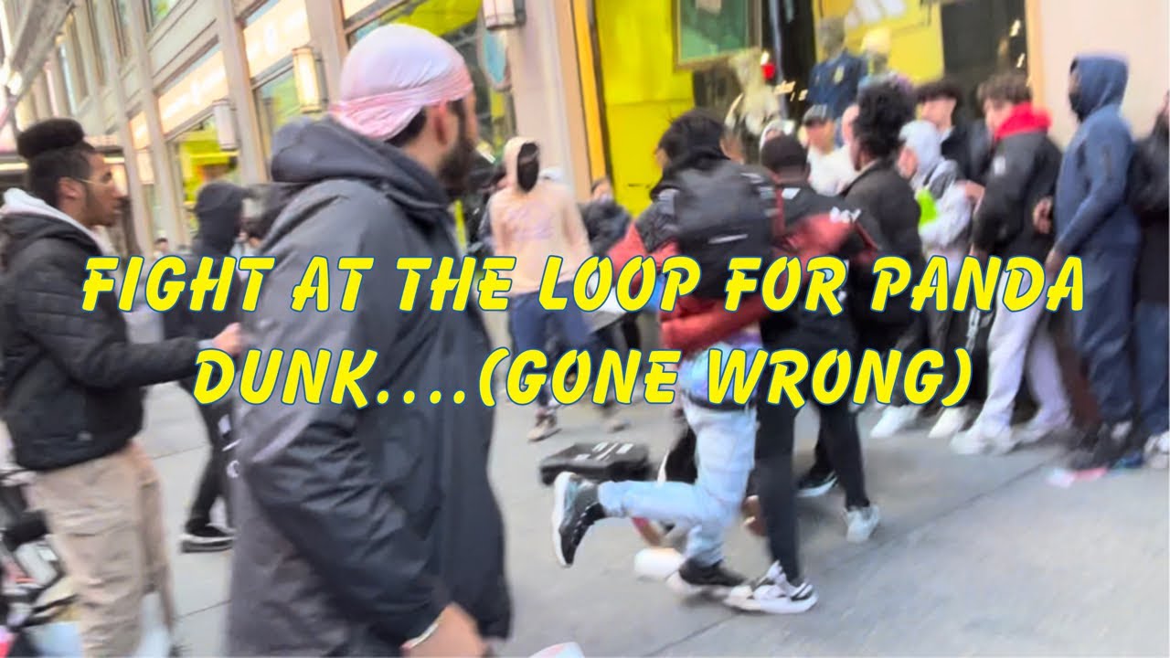 FIGHT AT THE LOOP FOR PANDA DUNKS…. (GONE WRONG) *life of a NYC sneaker ...