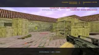 CPL Winter 2005 Final SK vs Lunatic hai