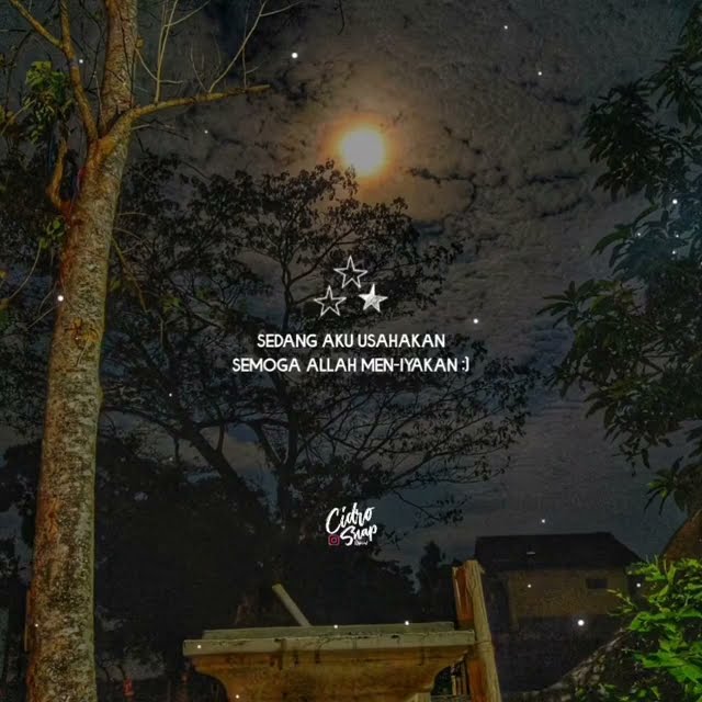 Story wa buat malam hari cover sholawat