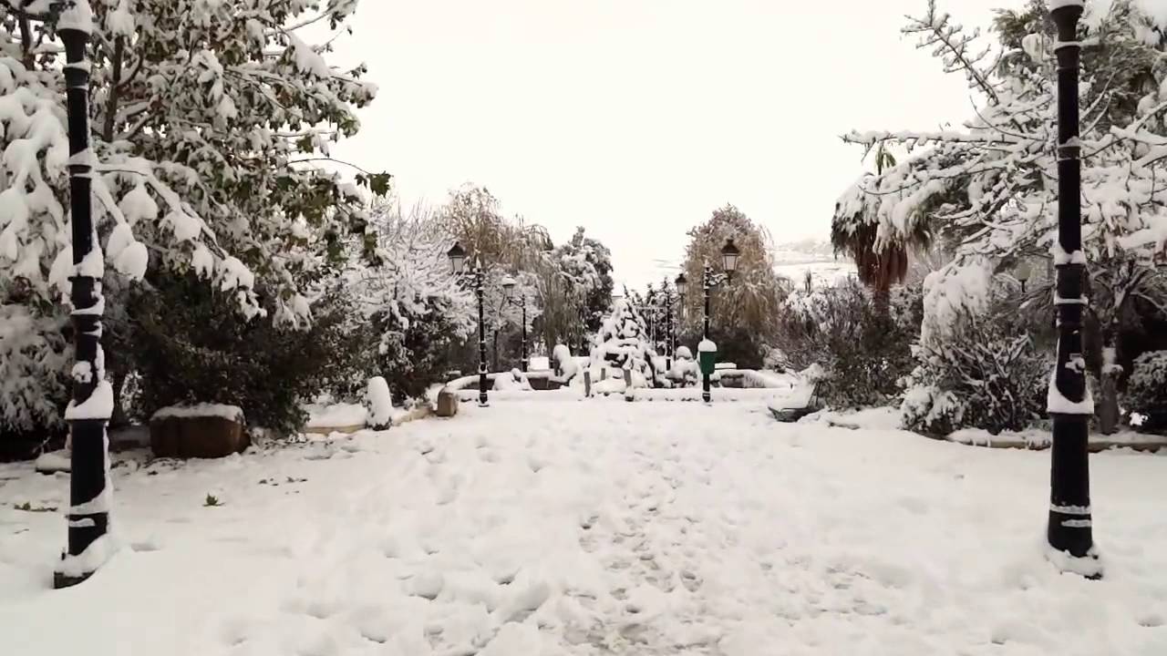 برج الغدير ديسمبر 2014