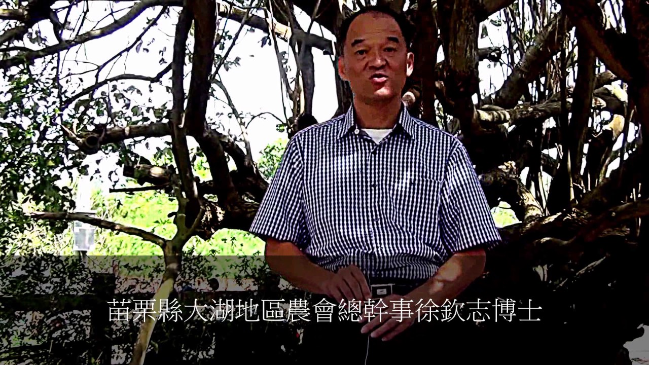苗栗縣大湖地區農會總幹事徐欽志博士 Youtube