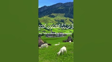 القارئ ياسر الدوسري #اكسبلور #duet #تيك_توك #ترند #دويتو #راحة_نفسية #حالات_واتس #love #لايك