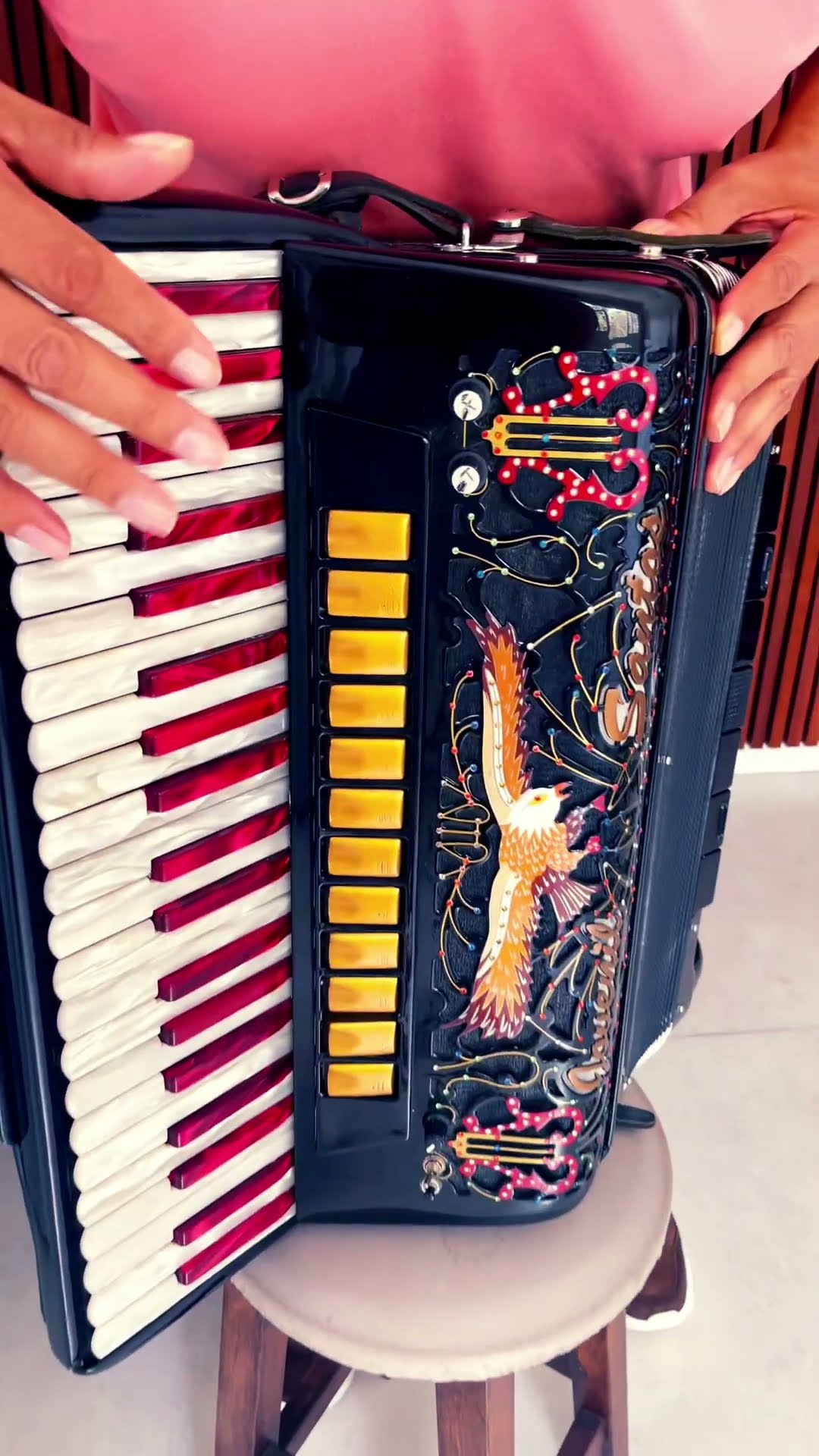 https://rifei.com.br/acordeon-melody-president