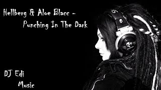 Hellberg & Aloe Blacc - Punching In The Dark (Lyrics) ♫DJ Edi♫