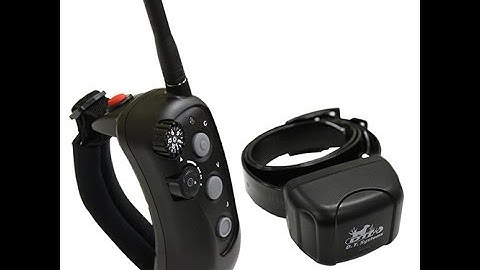 D.T. Systems R.A.P.T. Dog Training Ecollar