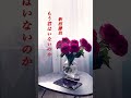 【もう君はいないのか】  新沼謙治  #shorts  #もう君はいないのか  #新沼謙治  #演歌  #歌謡曲
