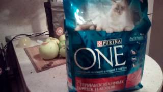 Корм для кошек Purina One Корм для кошек Purina One