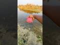 Water 💦 test jumping jbl bass jbl go Eessental