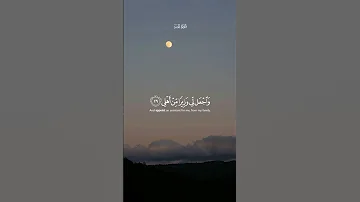 القارئ محمد أيوب 