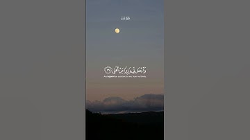 #القارئ_محمد_أيوب❣🍃